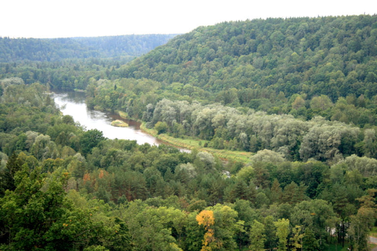 Balitkum Natur