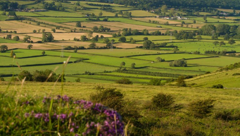 Landschaft England