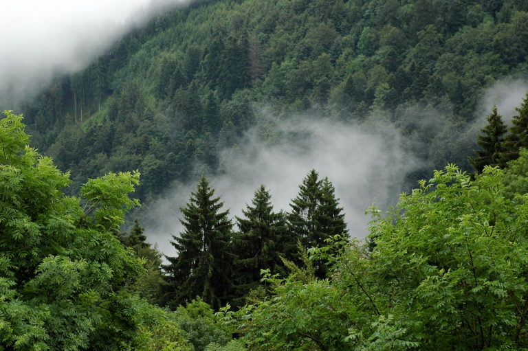 Deutschland Natur