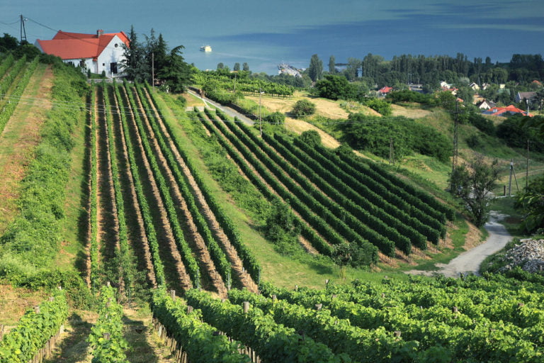 Ungarn Landschaft