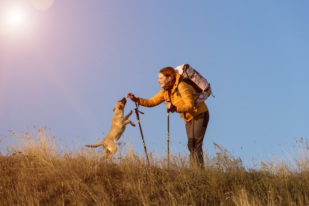 Frau beim wandern mit ihrem Hund