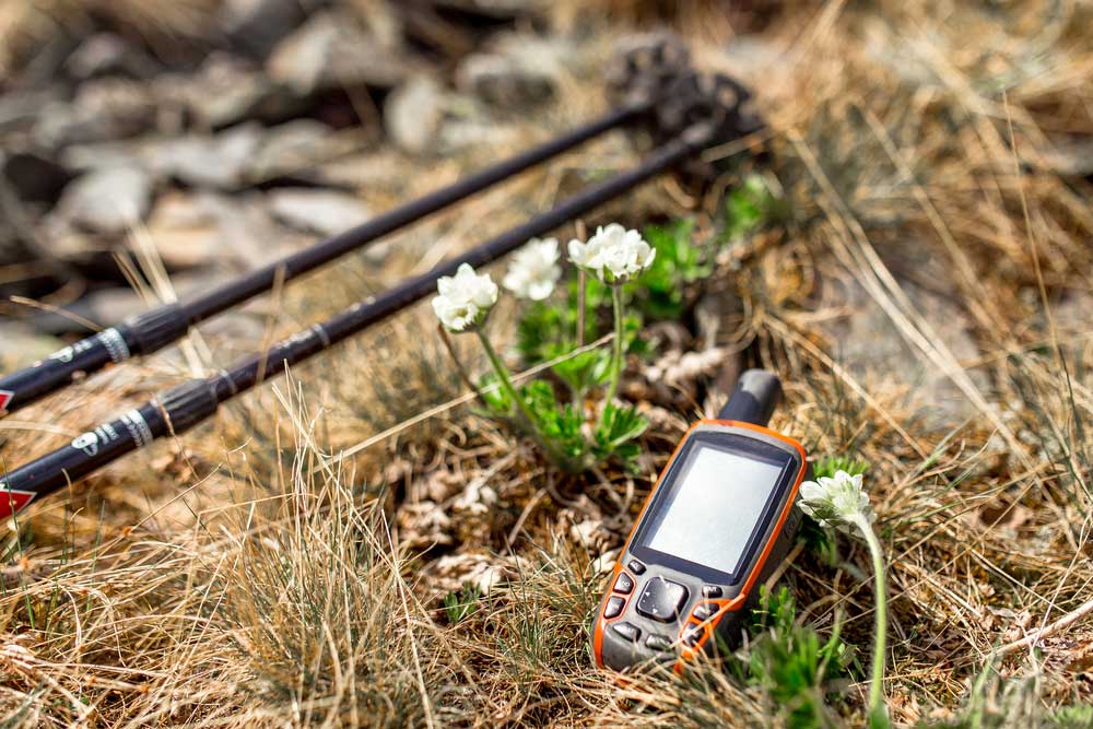 Wander Navi liegt im Gras
