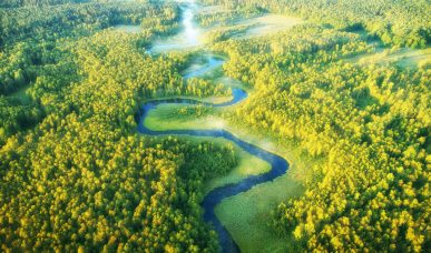 Wilde Flusslandschaft